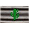 Northlight Green Cactus Striped Natural Coir Outdoor Doormat 18&#x22; x 30&#x22;